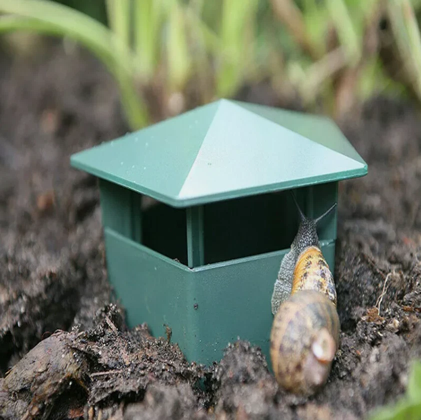 2x Beer Slug & Snail Traps – Chemical Free