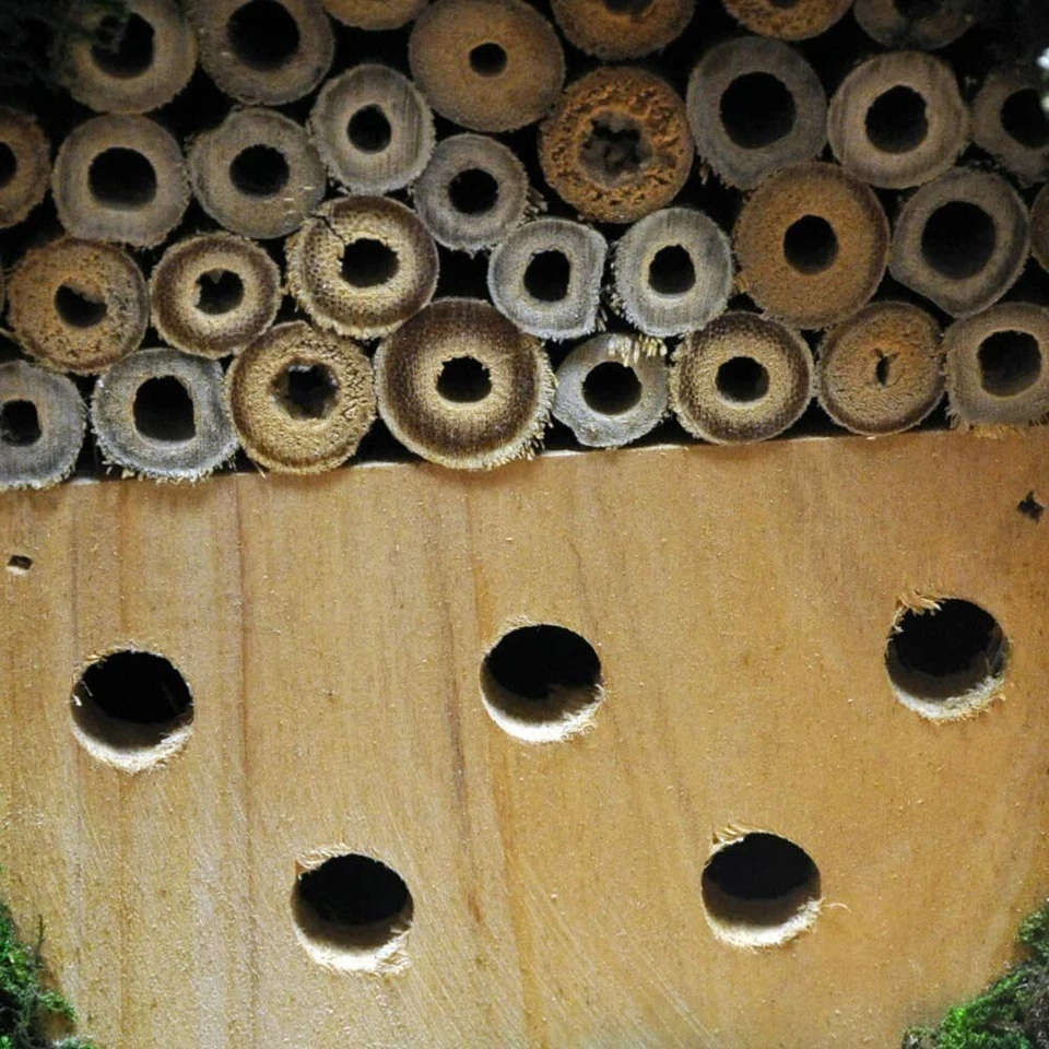 Hanging Wooden Insect & Bee Hotel Shelter Garden Nest Box